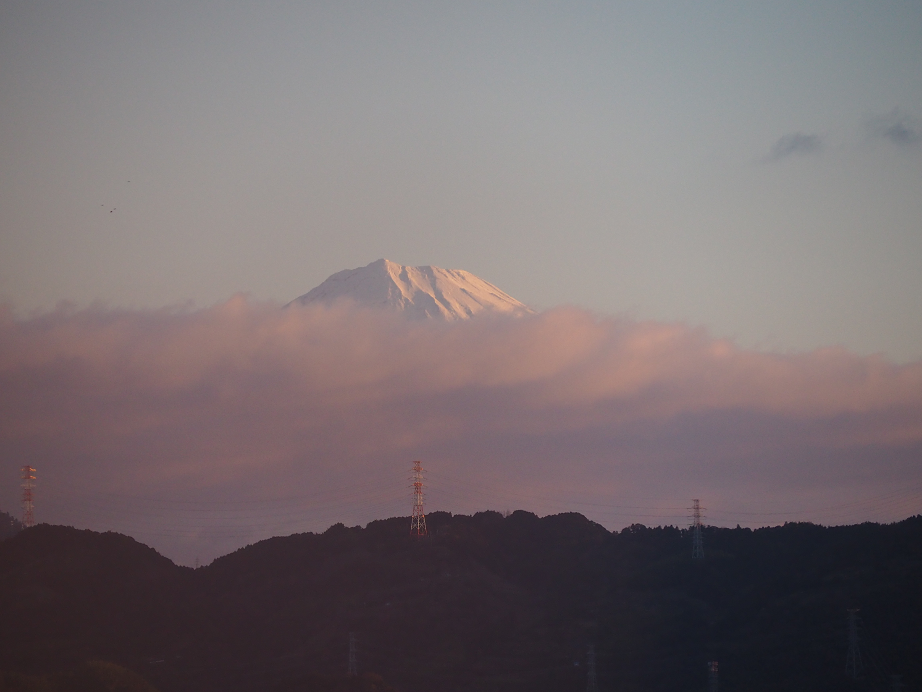 シンガポールへの社員旅行で購入